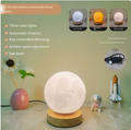 Lunar Glow 3D Night Lamp